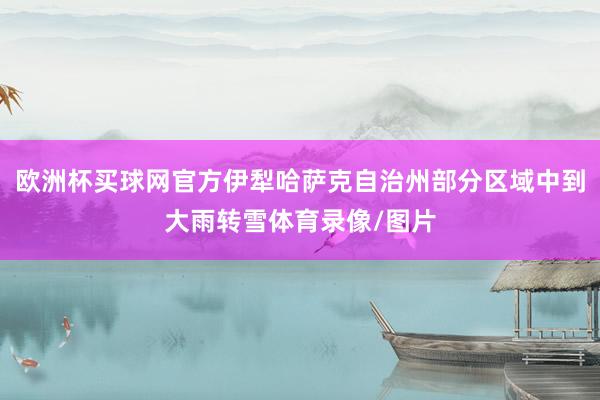欧洲杯买球网官方伊犁哈萨克自治州部分区域中到大雨转雪体育录像/图片