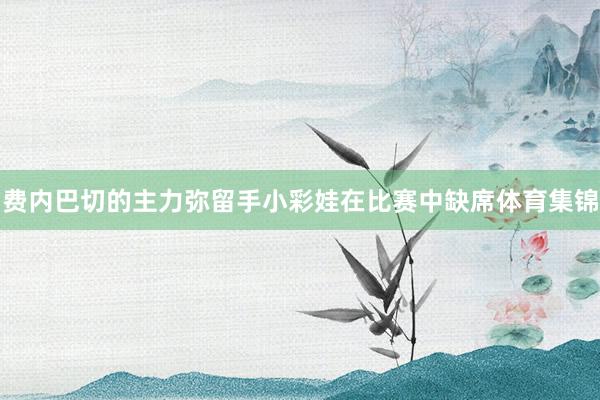 费内巴切的主力弥留手小彩娃在比赛中缺席体育集锦