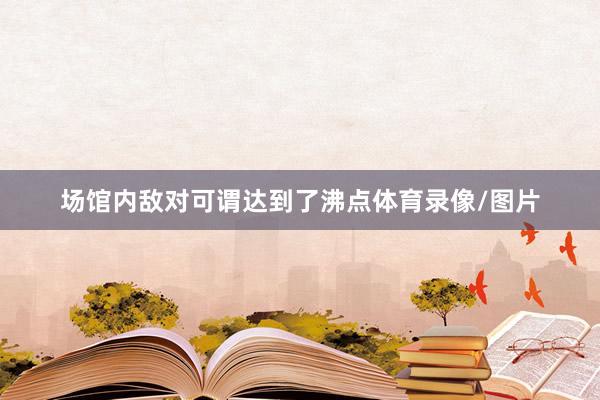 场馆内敌对可谓达到了沸点体育录像/图片