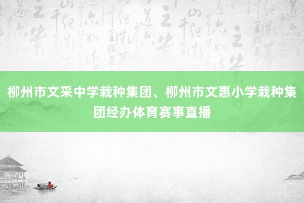 柳州市文采中学栽种集团、柳州市文惠小学栽种集团经办体育赛事直播