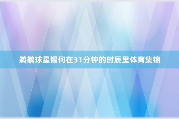 鹈鹕球星锡何在31分钟的时辰里体育集锦