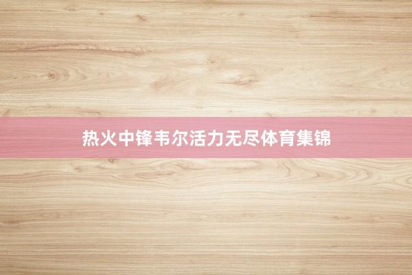 热火中锋韦尔活力无尽体育集锦