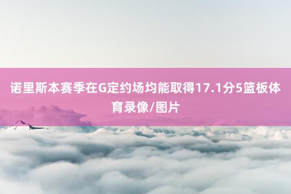诺里斯本赛季在G定约场均能取得17.1分5篮板体育录像/图片